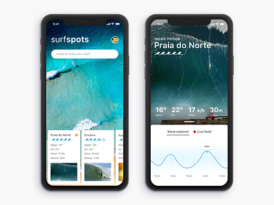 Surf beaches/spots reporting app app beach cards graph ios sea surf ui ux