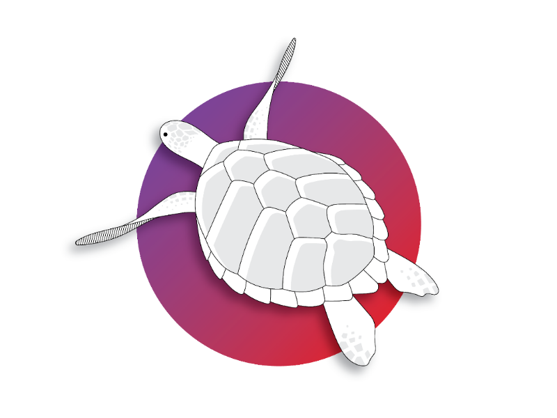 Turtle Minimal Artwork flat illustration vector minimalistic vector art gradient color vector illustration minimalist illustration art illustartor illustartion flat illustration flat design digital design adobe illustrator
