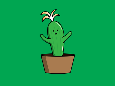 Cute Baby Cactus