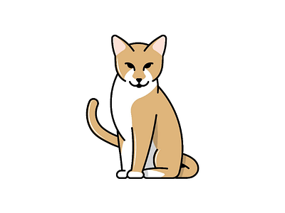 Cat Illustration