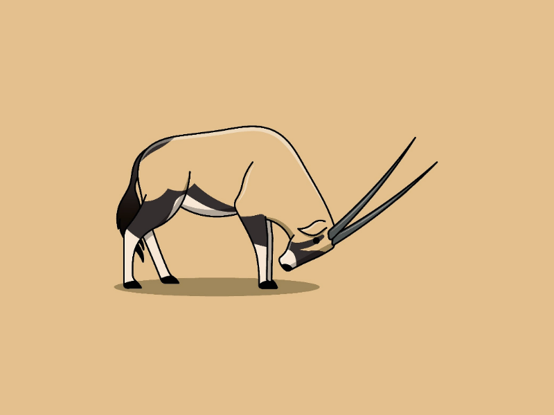 Gemsbok Illustration vector illustration vector art vector minimalistic minimalist logos logodesign logo design logo illustration art illustration illustartor illustartion flat illustration flat design flat digital design adobe illustrator
