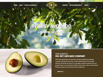 Del Rey Avocado branding design typography ui ux web website