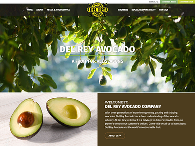 Del Rey Avocado