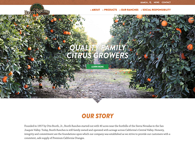 Booth Ranches branding design typography ui ux web website