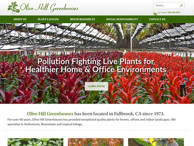 Olive Hill Greenhouses design ui ux web website