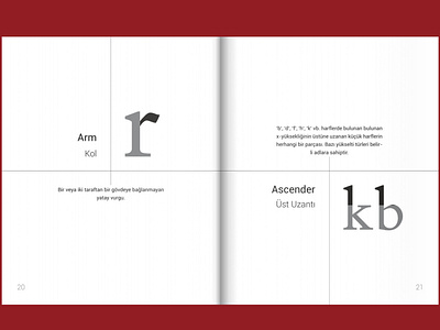 Typographic Terminology Book Design Arrangement book book arrangement book content book cover book design cover design reading red cover terminology type typographic typography typography design