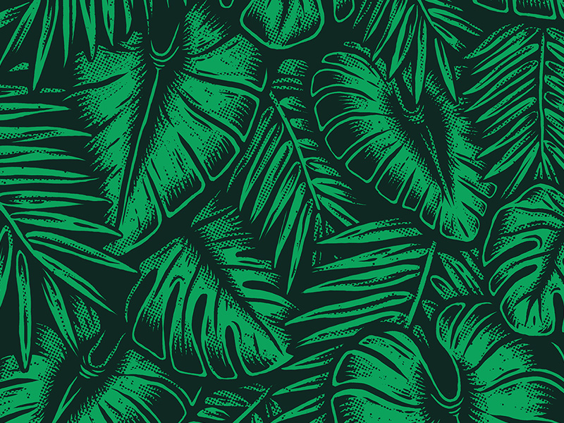 Tropical by TJ Nicklin on Dribbble