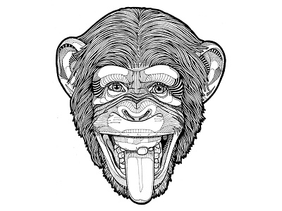 The Monkey chimpanzee line monkey