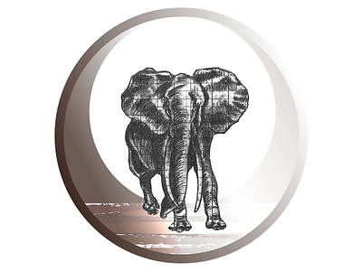 Elephant drawing