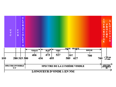 Light Spectrum & UV & IR design illustration illustrator light numerique spectre spectrum