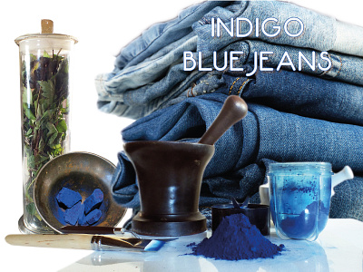 Indigo Blue Jeans chromatic colours contrast design dye illustration illustrator indigo