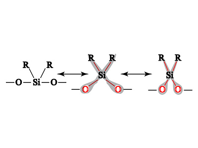 Main Chain of Silicone