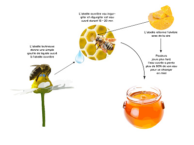 Honey as Plasticizer of Paintings