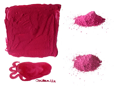 Red from Mexico's cochineal chromatic colorant colours craft form pigment