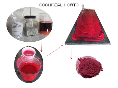 Cochineal Howto chromatic colorant colours craft form pigment