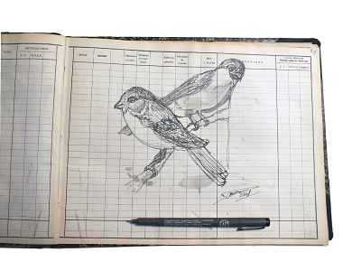 Birds birds dessin drawing encre ink stylo