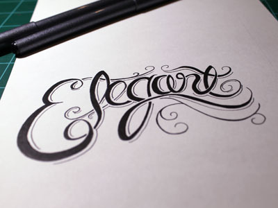 Elegant Picture Dribblecrop hand drawn illustration illustrator typography