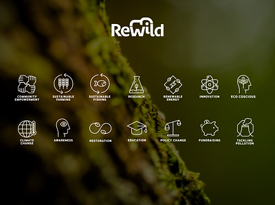 REWILD ICONS icon design iconography icons