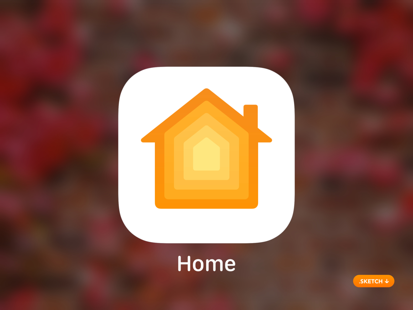 Приложение home. Apple HOMEKIT icon. Apple Home logo.