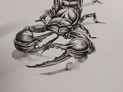 Scorpion