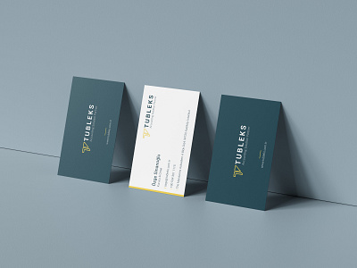 Tubleks Business Card Design accounting brand identity branding business card design businesscard design finance logo logodesign