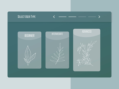 Select User Type 064 daily 100 challenge dailyui design illustration select select user type selectusertype ui user ux web webdesign