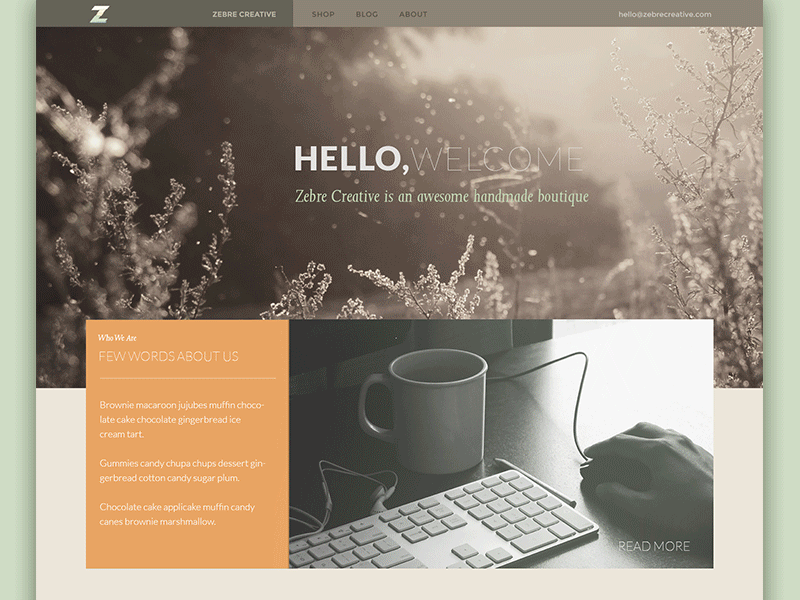 Zebre Creative blog design flat homepage landing page shop site ui web website