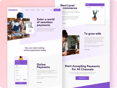 Website Design Concept - Online Payment Processing