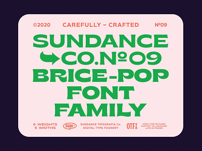 Brice Font Family branding classic font design display font download fonts font font design font family fonts graphic design lettering logo font logo fonts retro font sans serif serif font typeface typefaces typography vintage font