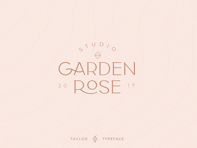 Classy Taylor Typeface design display font download fonts font font design font family fonts fonts collection graphic design graphics lettering logo design logo fonts logotype retro font typeface typefaces typography vintage vintage font