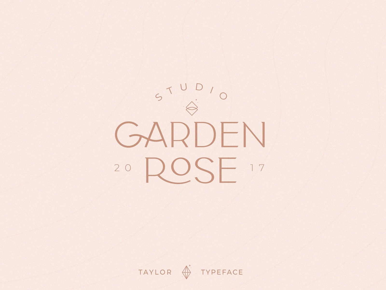 Classy Taylor Typeface by Best Fonts on Dribbble