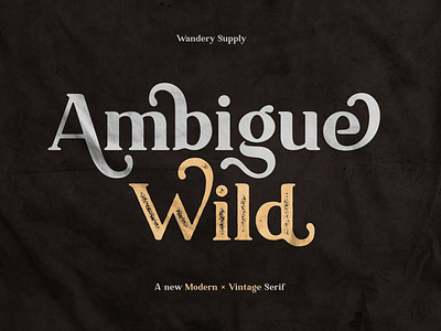 Ambigue Wild Modern + Vintage Serif
