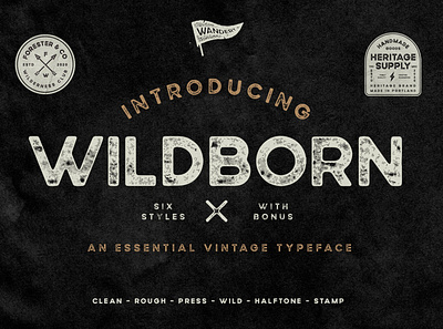 Wildborn Vintage Sans Serif Font branding download font font font design fonts graphic design lettering retro font retro fonts sans sans serif sans serif font typeface typeface design typefaces typography vintage font vintage fonts vintage lettering vintage typeface