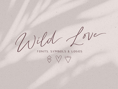 Wild Love Fonts + Symbols & Logos