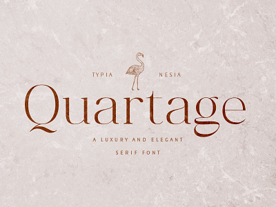 Quartage Typeface branding classic font design display font download font elegant font font font design fonts graphic design lettering logo font logo fonts retro font serif font signage typeface typefaces typography vintage font