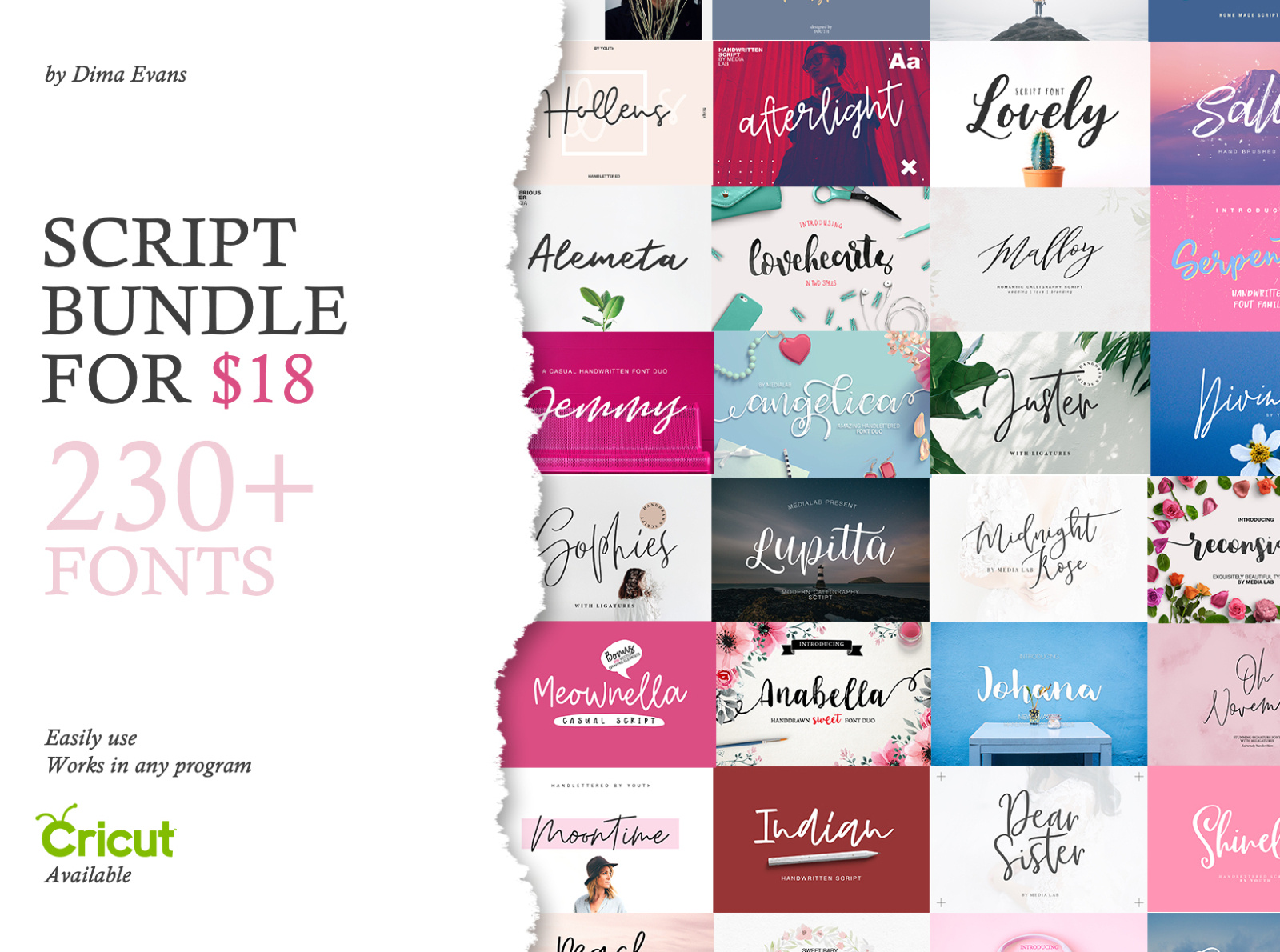 Script Fonts Bundle by Best Fonts on Dribbble