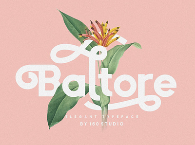 Baltore Font branding design display font font font design fonts graphic design graphics lettering logo logo fonts retro retro font typeface typefaces typography vintage vintage font vintage logo vintage typeface