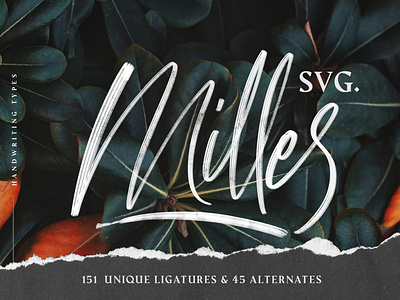 Milles Svg - Unique Handwriting Font