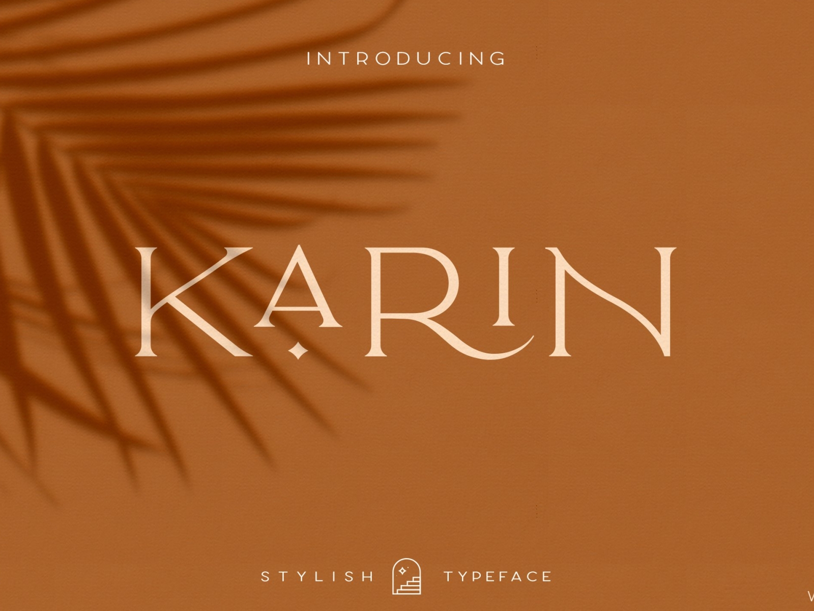 Elegant Karin - Stylish Font by Best Fonts on Dribbble