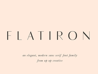 Flatiron Sans Font Family