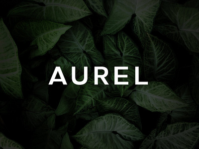 Aurel - Modern Sans Serif Typeface bold font branding design display font download font font font design font designer fonts graphic design lettering logo font minimal modern font sans sans serif sans serif font typeface typefaces typography