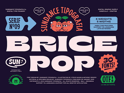 Brice Font Family 80s branding design font font design font family fonts fun graphic design graphics illustration lettering logo font pop retro retro font typeface typefaces vintage vintage font