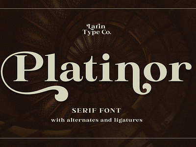 Platinor - Serif Font