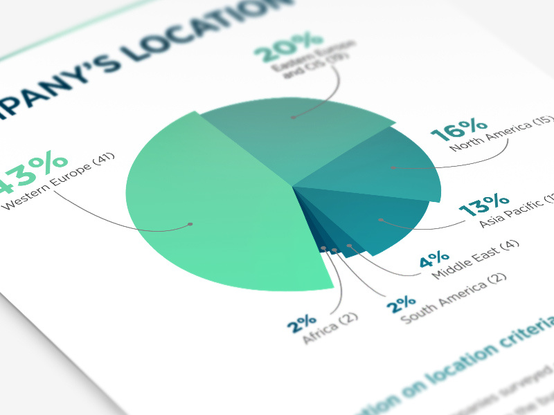 Report scheme pie report diagram