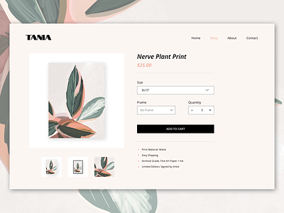 Online Store (Art Print) Shopping Concept art prints branding dailyui dailyuichallenge design desktop design desktop ui figma online shopping online stone plant print plants prints shop ui ui concept ui design uiux ux ui mockup