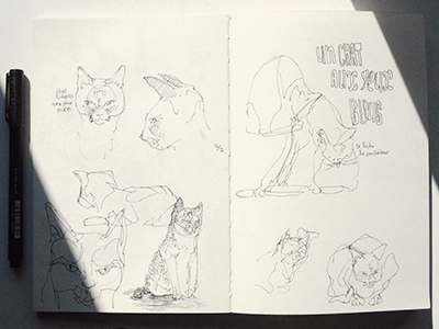 Bleu liégeois bleu blue book carnet cats chat croquis dessin draw drawing notebook sketch