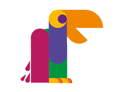 Parrot animal bird graphic oiseau parrot peroquet typo typographie