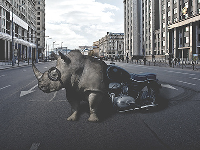 Rhino Bike Composite composite design edit image motorcycle photo manipulation photoshop poster print rhino