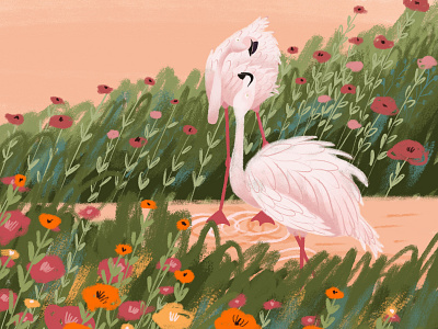 Flamingos in love