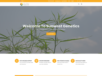 Modern Ecommerce Website Redesign cannabis clean ecommerce minimalist modern simple web page
